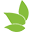 healthscience.org-logo