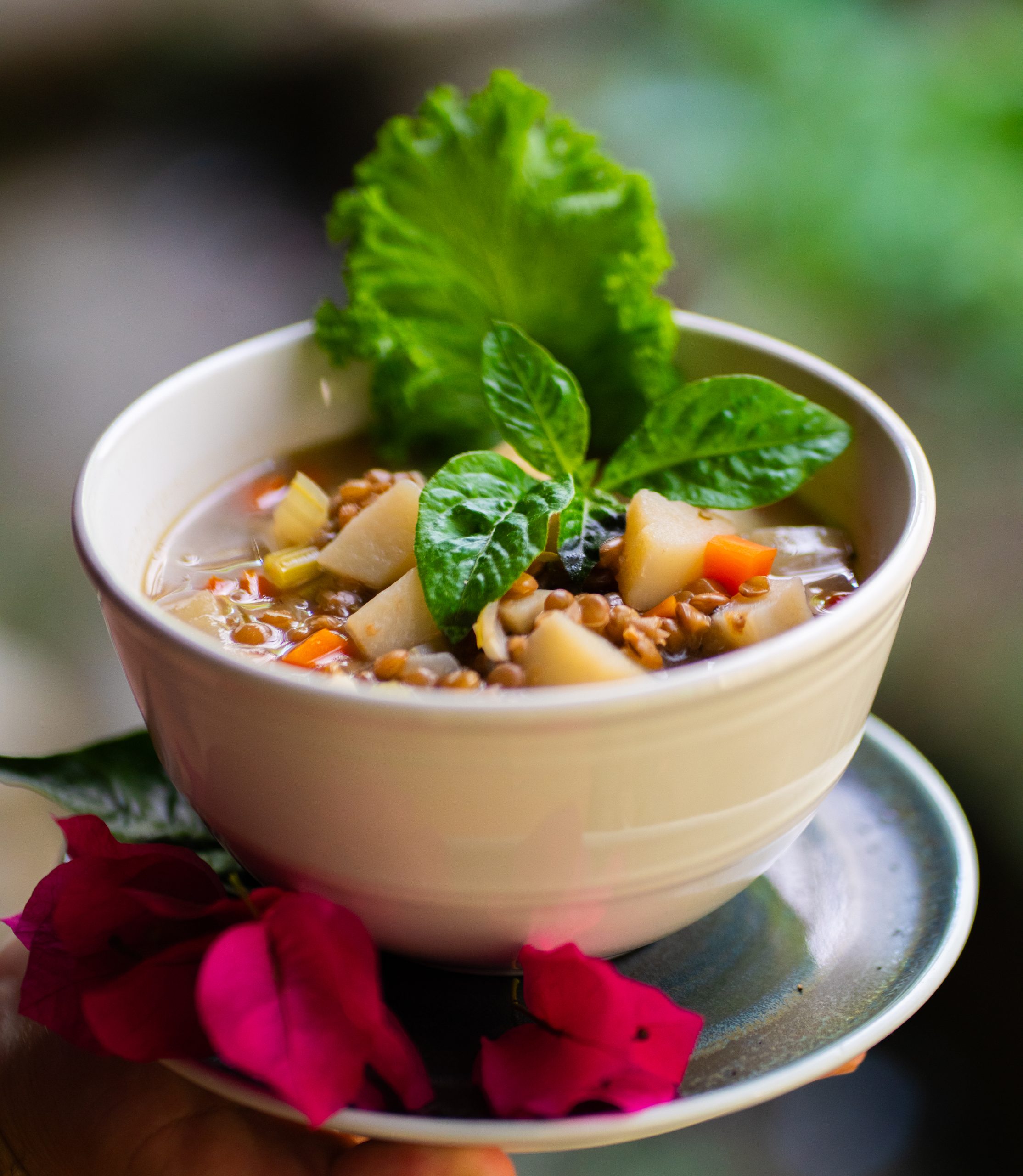 Lentil Soup